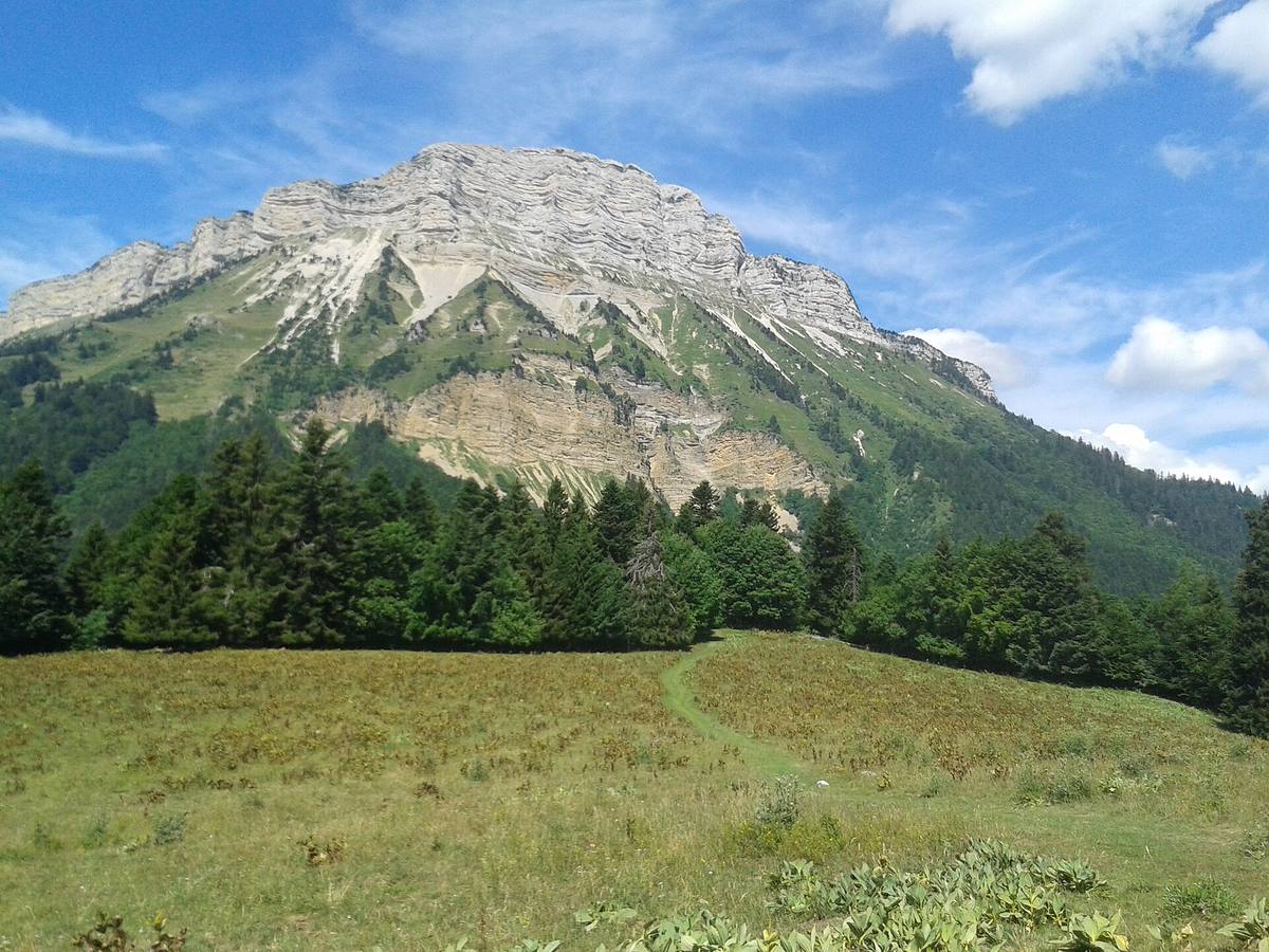 Chamechaude vu depuis les alpages des Émeindras en été, avec le sentier dans l'herbe