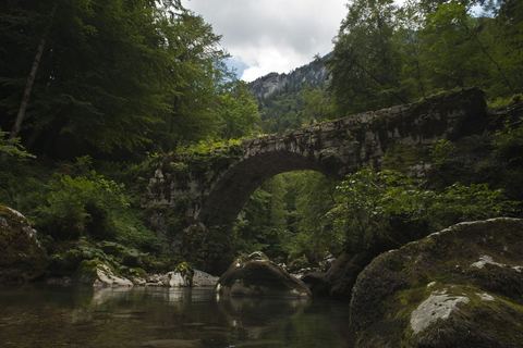 Le pont de la Tannerie, vieux pont de pierre sur le Guiers Mort, dans les gorges