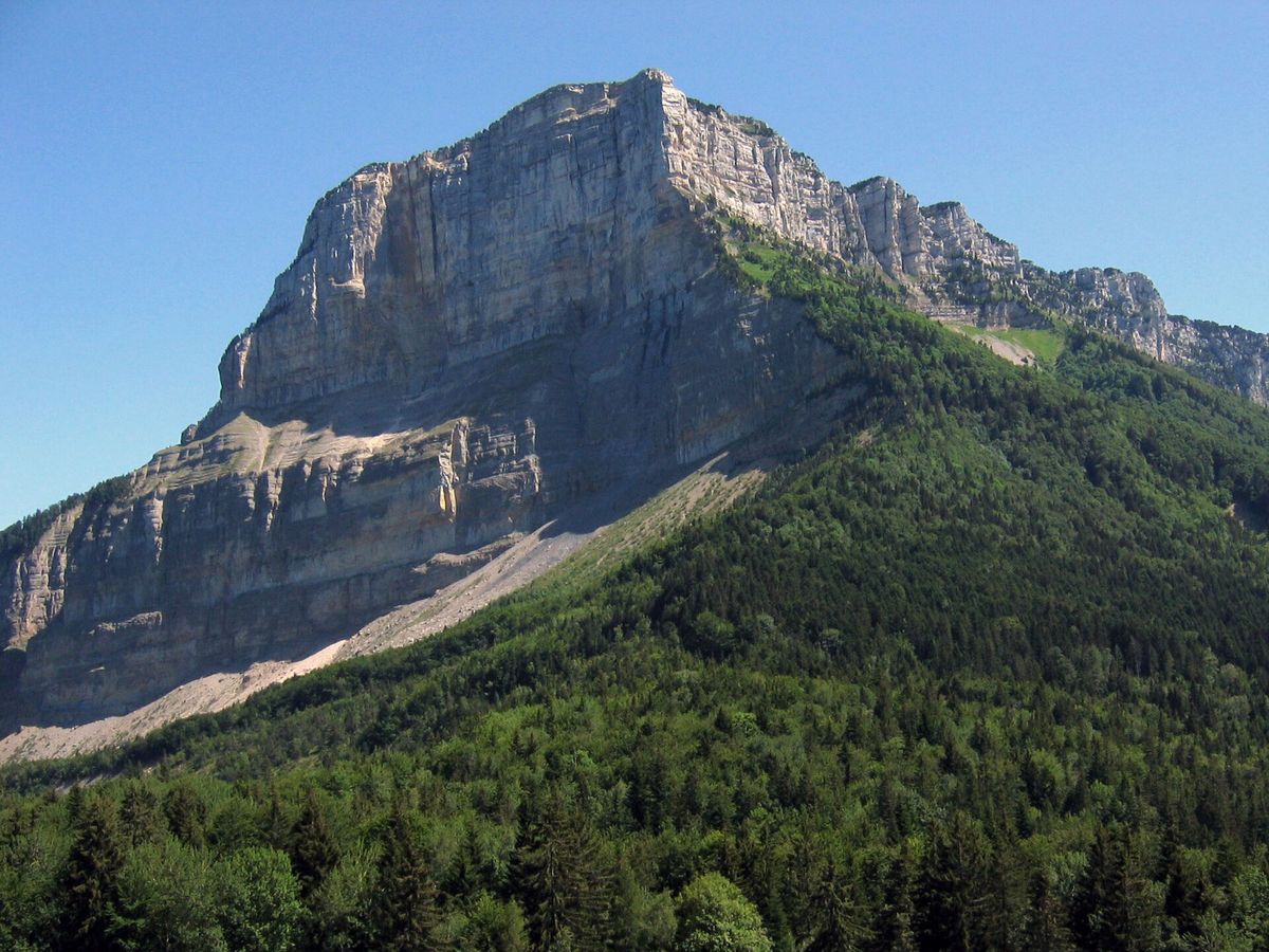 La face nord du mont Granier et son éboulis, au-dessus de la forêt