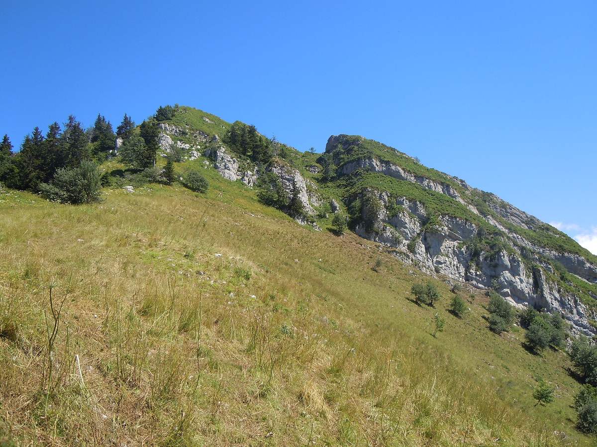 Le Bec de la Scia et sa crête calcaire au-dessus des alpages