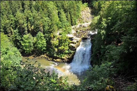 Le Saut du Doubs vu d'en haut, la chute au milieu des sapins