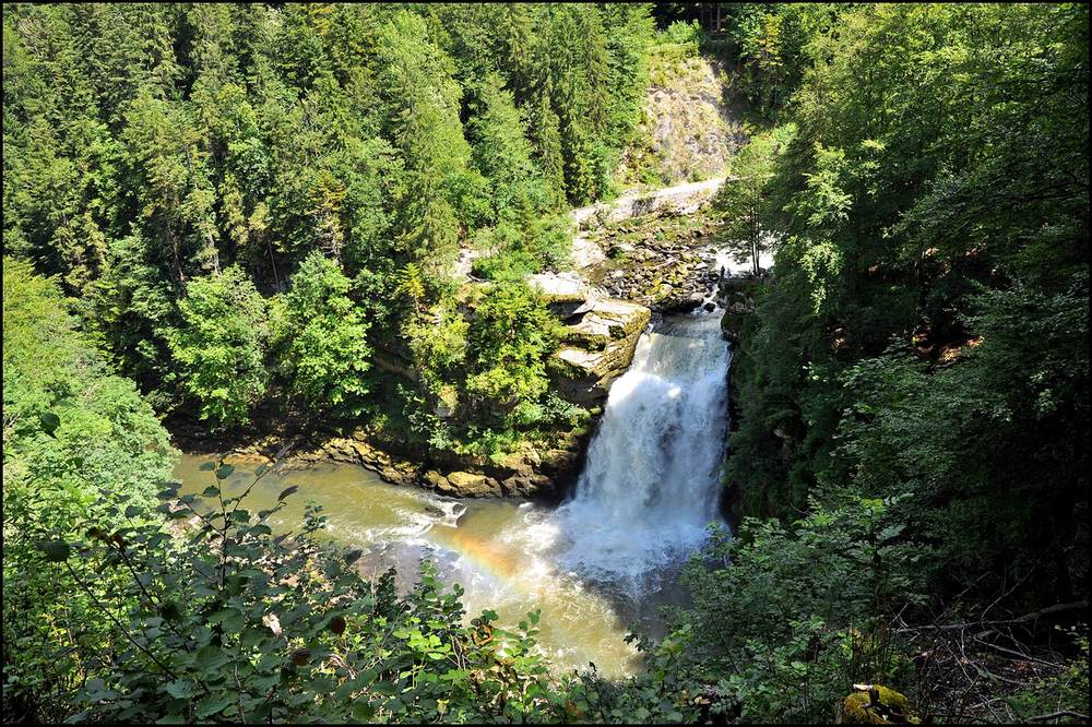 Le Saut du Doubs vu d'en haut, la chute au milieu des sapins