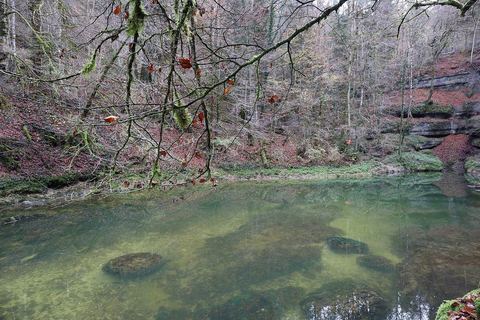 Le bassin vert de la source de l'Ain, entouré de forêt