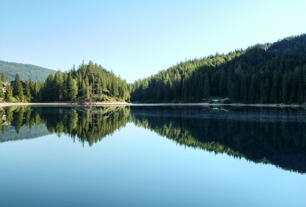 Vosges