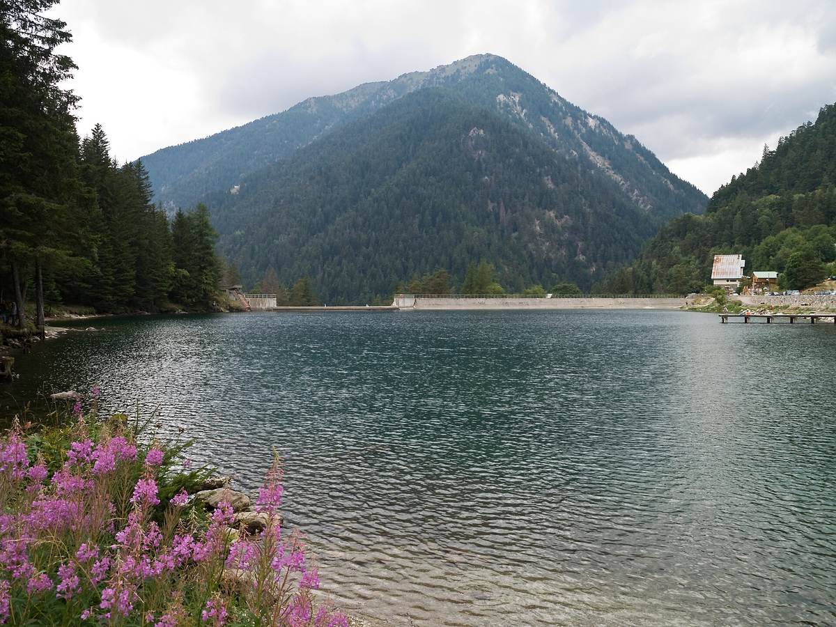 Le lac du Boréon et son barrage, entourés de forêt