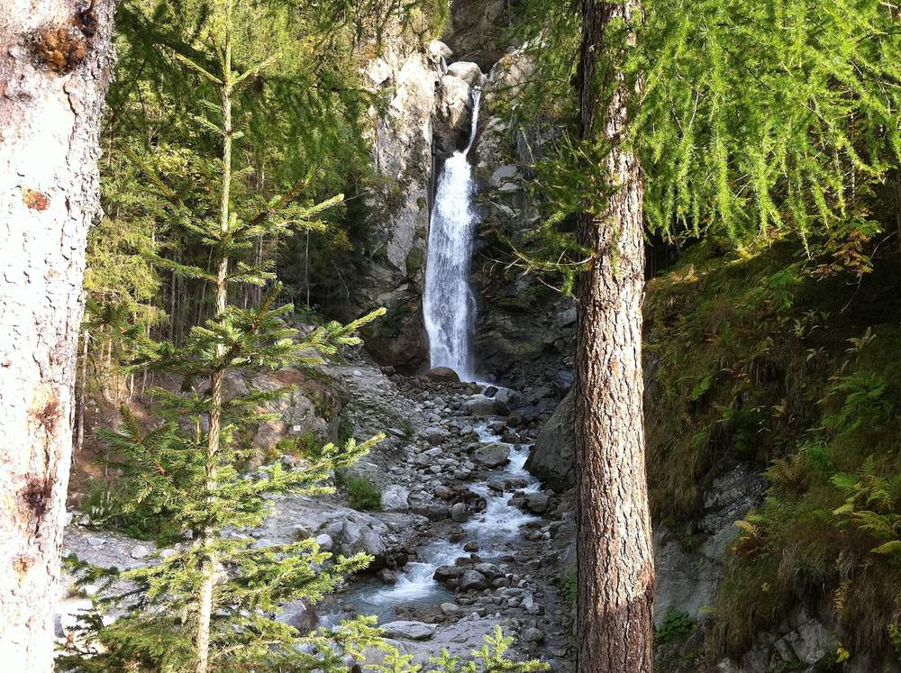La cascade du Dard entre les mélèzes