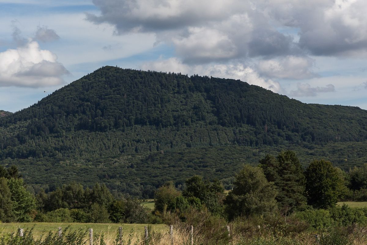 Le puy de Louchadière et sa forêt vus de Pulvérières