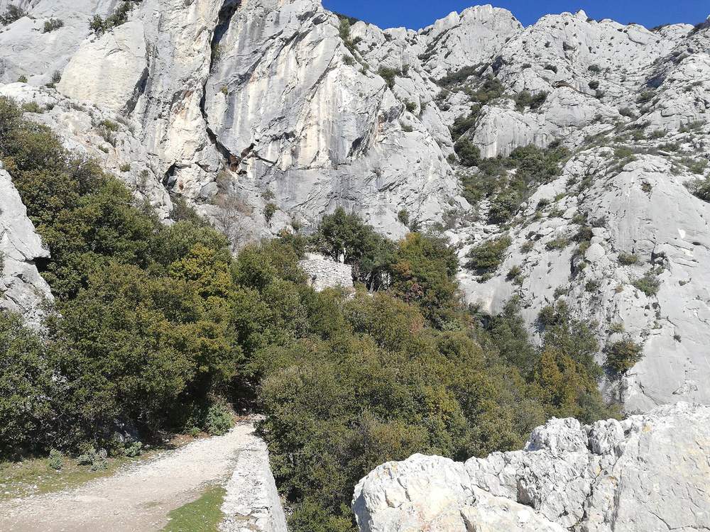 Les rochers de Sainte-Victoire au-dessus du sentier de l'ermitage Saint-Ser