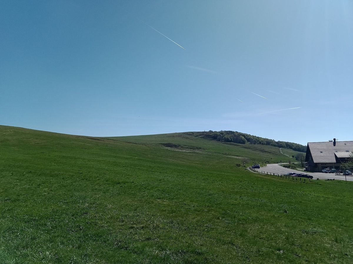 Le sommet du Ballon d'Alsace vu depuis le col