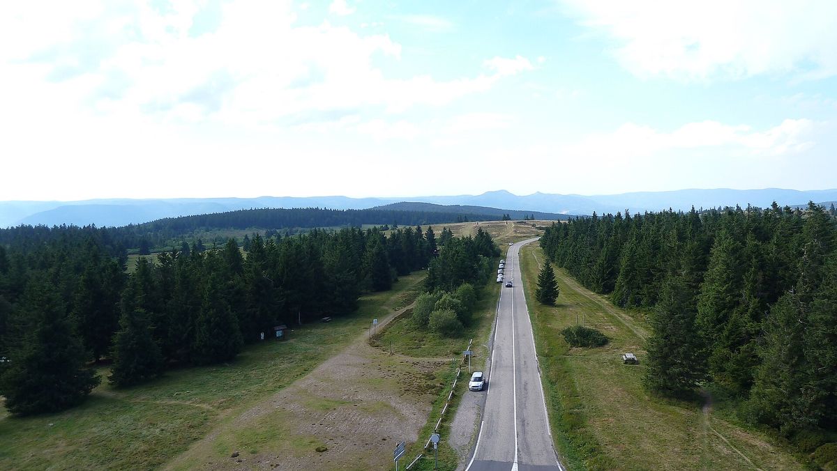 Le plateau du Champ du Feu vu depuis la tour, avec la route et les sapins