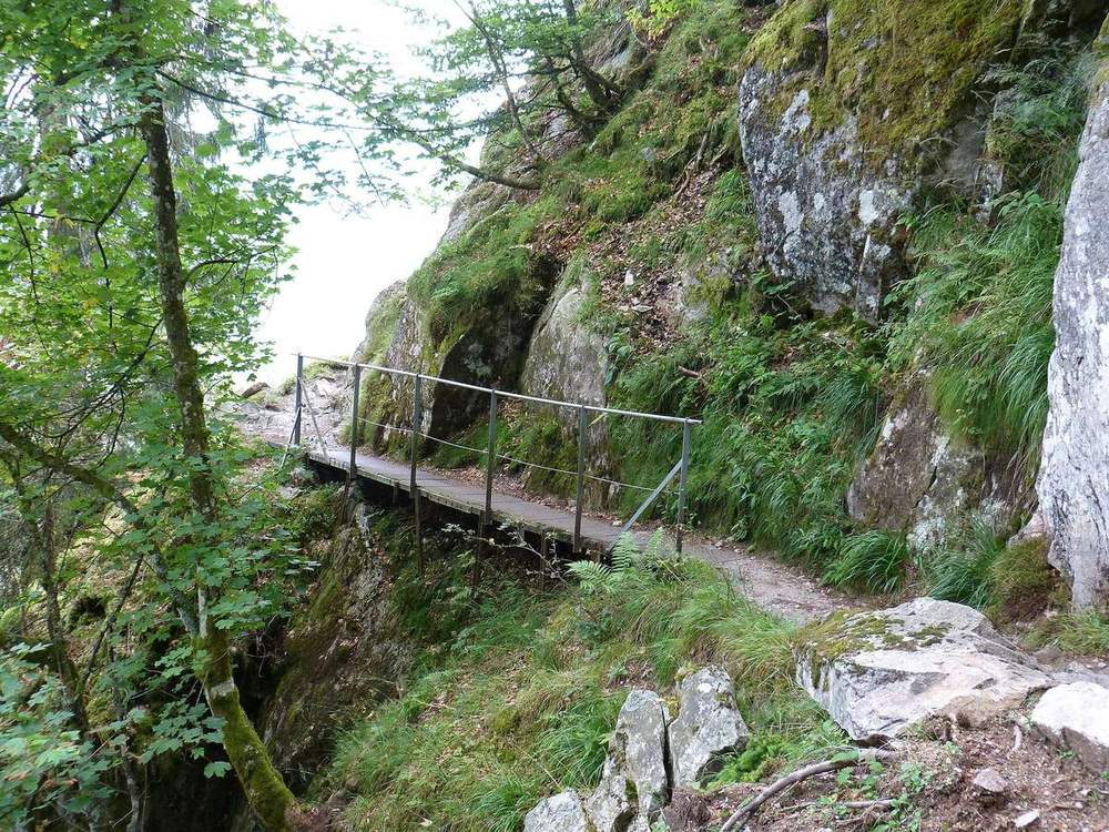Une passerelle métallique sur le sentier des Roches, dans les Vosges