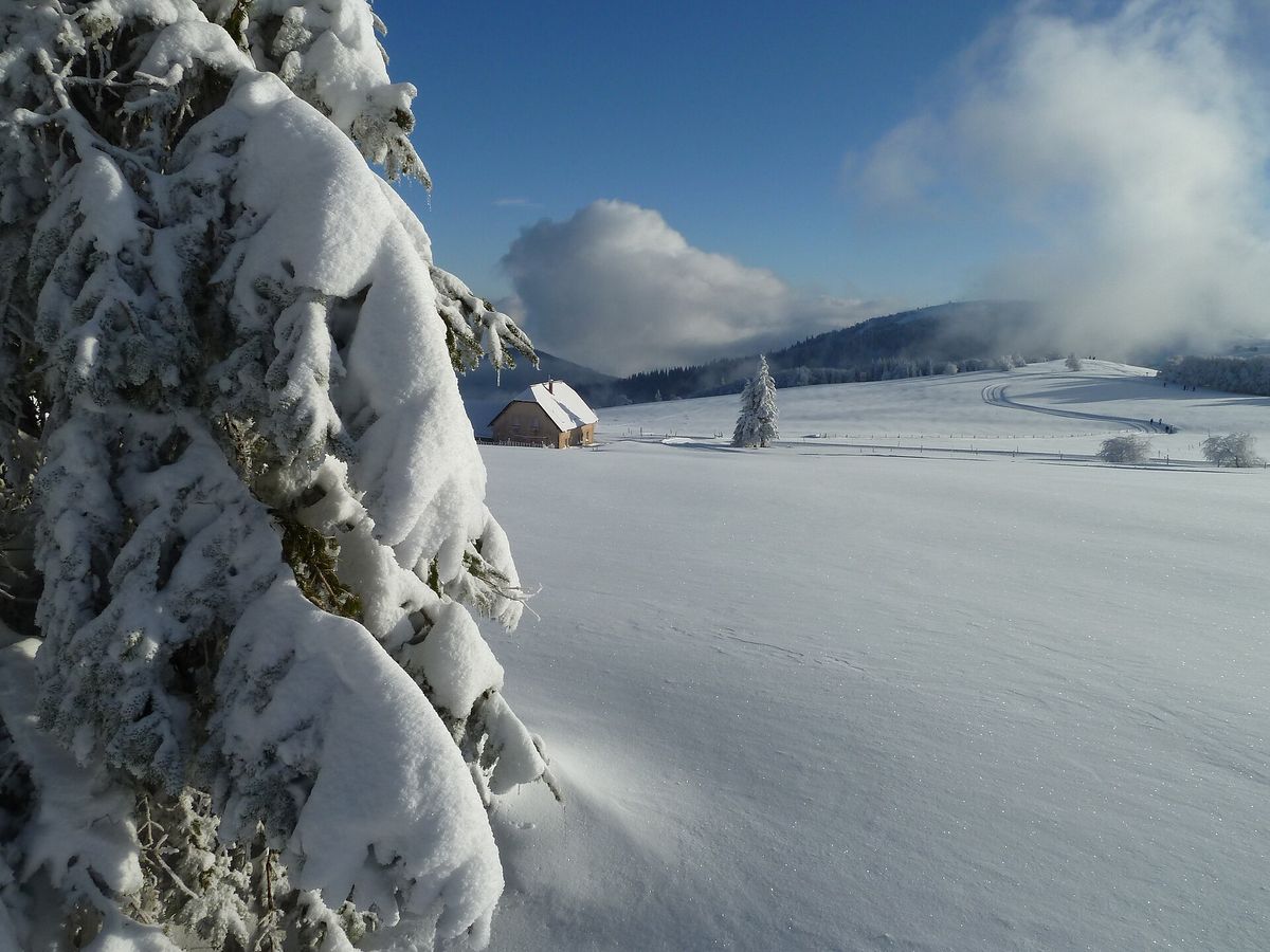 La chaume des Trois Fours enneigée, près du col de la Schlucht